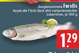 Ausgenommene Forelle im Angebot bei E center in Krefeld Ausgenommene Forelle Angebote bei E center Krefeld für 1,29 €
