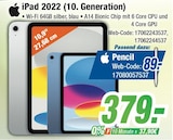 iPad 2022 (10. Generation) bei expert im Losheim Prospekt für 379,00 €