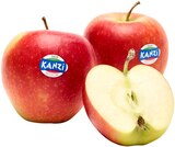 Rote Tafeläpfel »Nicoter« im Angebot bei REWE in Oberhausen Rote Tafeläpfel »Nicoter« Angebote von KANZI bei REWE Oberhausen für 1,99 €