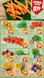Pflanzen Angebot im aktuellen REWE Prospekt auf Seite 7