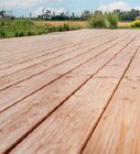 Terrassendiele Douglasie im Angebot bei Globus-Baumarkt in Neu-Ulm Terrassendiele Douglasie Angebote bei Globus-Baumarkt Neu-Ulm für 7,98 €