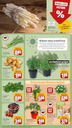 Kartoffeln Angebot im aktuellen REWE Prospekt auf Seite 7