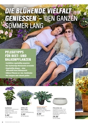 Pflanzgefäß Angebote im Prospekt "Alles Machbar In deinem Garten" von OBI auf Seite 4