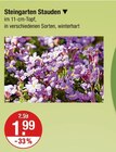 Steingarten Stauden Angebote bei V-Markt Augsburg für 1,99 €