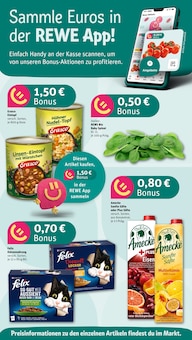 Aktueller REWE Prospekt "Dein Markt" Aktueller REWE Prospekt
