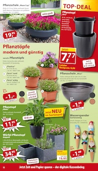 Blumentopf im Sonderpreis Baumarkt Prospekt "... da, wo die Preise gestutzt werden!" mit 20 Seiten (Hagen (Stadt der FernUniversität))