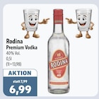 Aktuelles Premium Vodka Angebot bei aktiv & irma in Oldenburg ab 6,99 €