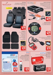 Dekoration im Marktkauf Prospekt in Fürth Aktueller Marktkauf Prospekt mit Dekoration, "AUSWAHL RIESIG, PREISE NIEDRIG", Seite 38