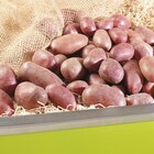 Promo POMME DE TERRE ROUGE (Les 2,5 kg) à 1,99 € dans le catalogue Grand Frais à Andrézieux-Bouthéon