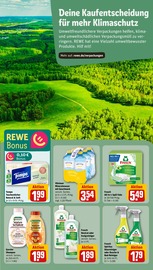 Shampoo im REWE Prospekt in Rosenheim Aktueller REWE Prospekt mit Shampoo, "Dein Markt", Seite 20