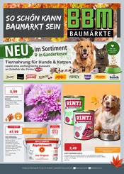 Aktueller BBM Baumarkt Prospekt mit Pflanzen, "So schön kann Baumarkt sein", Seite 1