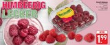 nah und gut Regis-Breitingen - Himbeeren Angebot im Prospekt Himbeeren bei nah und gut im Regis-Breitingen Prospekt für 1,99 €