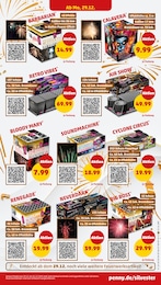 Penny Silvester im Prospekt 