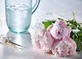 Carrefour Voiron - Promo Bouquet de 3 pivoines Promo Bouquet de 3 pivoines à 3,29 € dans le catalogue Carrefour à Voiron