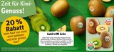 Kiwi SunGold im Angebot bei REWE in Schwerte Kiwi SunGold Angebote von Zespri bei REWE Schwerte für 0,49 €