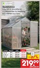 Gewächshaus 3,6 m² Angebote von Juskys bei Netto Marken-Discount Peine für 219,99 €