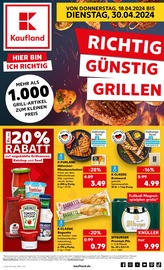 Aktueller Kaufland Supermarkt Prospekt in Schwerz und Umgebung, "RICHTIG GÜNSTIG GRILLEN" mit 8 Seiten, 18.04.2024 - 30.04.2024