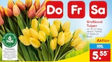 Großbund Tulpen Angebote bei Netto Marken-Discount Siegburg für 5,55 €