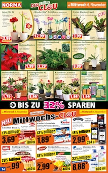 Orchidee im Norma Prospekt "Mehr fürs Geld" mit 18 Seiten (München)