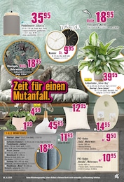 Gardinen Angebot im aktuellen Hornbach Prospekt auf Seite 26