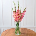 Bouquet de 5 glaïeuls - Super U à Drancy Bouquet de 5 glaïeuls en promo chez Super U Drancy à 4,99 €