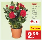 Rosen für 2,29 € bei Netto Marken-Discount im Angebot Rosen im aktuellen Netto Marken-Discount Prospekt
