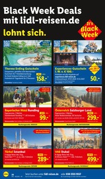 Lidl Bett im Prospekt 