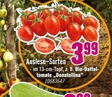 Auslese-Sorten im Angebot bei Hornbach in Lünen Auslese-Sorten Angebote bei Hornbach Lünen für 3,99 €