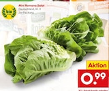 Netto Marken-Discount Mengen - Mini Romana Salat Angebot im Prospekt Mini Romana Salat bei Netto Marken-Discount im Mengen Prospekt für 0,99 €