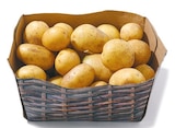 Aktuelles Speisekartoffeln Angebot bei Netto mit dem Scottie in Cottbus ab 0,99 €