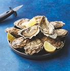 Huitres fines de Bretagne calibre n°3 - U en promo chez Super U Six-Fours-les-Plages à 8,91 €