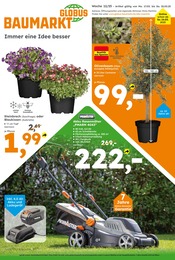 Aktueller Globus-Baumarkt Baumarkt Prospekt in Heldenstein und Umgebung, "Immer eine Idee besser" mit 20 Seiten, 16.03.2025 - 22.03.2025