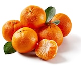 Promo Mandarine à 1,97 € dans le catalogue Lidl à Lambersart