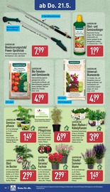 Blumenerde im ALDI Nord Prospekt in Dortmund Aktueller ALDI Nord Prospekt mit Blumenerde, "Aktuelle Angebote", Seite 31