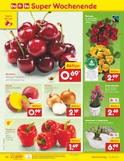 Zimmerpflanzen im Netto Marken-Discount Prospekt in Koblenz Aktueller Netto Marken-Discount Prospekt mit Zimmerpflanzen, "Aktuelle Angebote", Seite 48