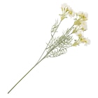 Aktuelle Kunstblumen Angebote bei Ernstings family in Wuppertal Aktuelles Kunstblume Magnolie Angebot bei Ernstings family in Wuppertal ab 3,99 €