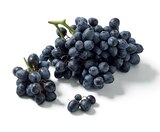 Lidl Nézignan-l'Évêque - Promo Raisin noir Promo Raisin noir à 2,39 € dans le catalogue Lidl à Nézignan-l'Évêque