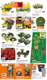 Aktueller OBI Prospekt mit Gemüse, "BIBERSTARKE ANGEBOTE", Seite 2