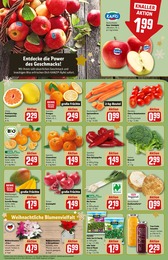 Pflanzen Angebot & Preis im aktuellen REWE Prospekt Pflanzen Angebot im aktuellen REWE Prospekt auf Seite 10