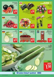 Ähnliche Saatgut Angebote im Prospekt "AUSWAHL RIESIG, PREISE NIEDRIG" von Marktkauf in Görlitz Ähnliche Angebote wie Saatgut im Prospekt "AUSWAHL RIESIG, PREISE NIEDRIG" auf Seite 11 von Marktkauf in Görlitz