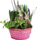 Bepflanzte Arrangements Angebote bei Globus-Baumarkt Völklingen für 6,99 €