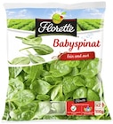 Aktuelles Babyspinat oder Feldsalat Angebot bei REWE in Halle (Saale) ab 1,59 €