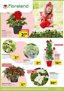 Blumentopf im Hagebaumarkt Prospekt "Raus in den Garten? SO günstig geht das!" mit 24 Seiten (Bochum)
