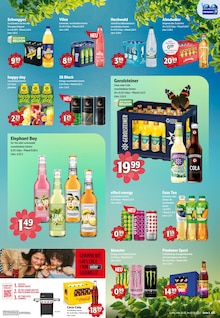Gin im Trink und Spare Prospekt "Aktuelle Angebote" mit 8 Seiten (Mülheim (Ruhr))