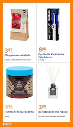 Action Duschgel im Prospekt 