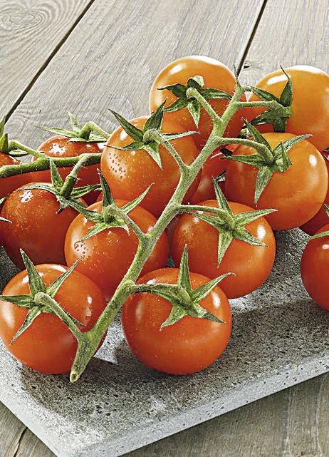 Tomate cerise confite, barquette 125g - Super U, Hyper U, U Express 