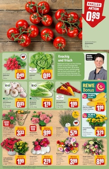 Blumen im aktuellen REWE Prospekt (Düsseldorf) Blumen im REWE Prospekt "Dein Markt" mit 28 Seiten (Düsseldorf)