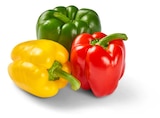 Aktuelle Paprika Angebote bei Penny in Hannover Aktuelles Paprika-Mix Angebot bei Penny in Hannover ab 1,29 €