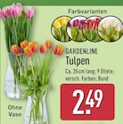 Tulpen von Gardenline im aktuellen ALDI Nord Prospekt