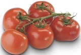 combi Geeste - Bio Strauchtomaten Angebot im Prospekt Bio Strauchtomaten bei combi im Geeste Prospekt für 2,22 €